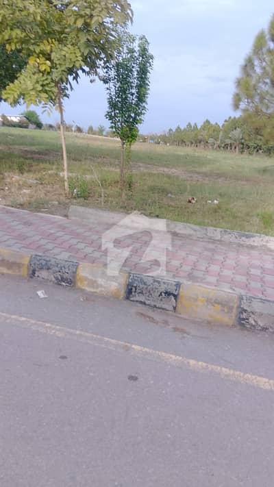 D Block 4 Kanal | 480s Series | Excellent Investment | Semi Developed