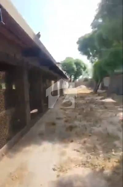 4.3 Kanal Fully Constructed Poultry Farm for Sale | Ideal for Poultry & Dairy Farming