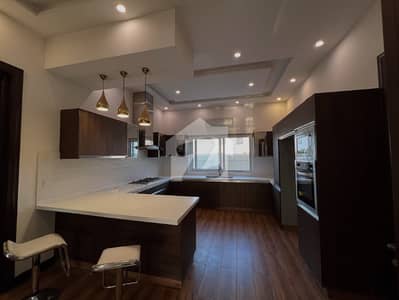 25 Marla Fully Luxury Designer House For Rent