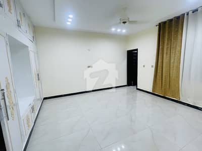 Luxury Renovated House Available For Rent