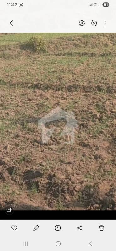 6 Marla Best Location Plot Avaialble For Sale