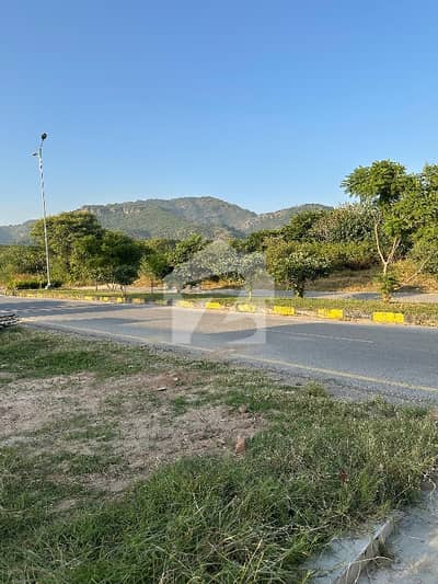 Residential Plot Available For Sale In D12/1 On Investor Rate