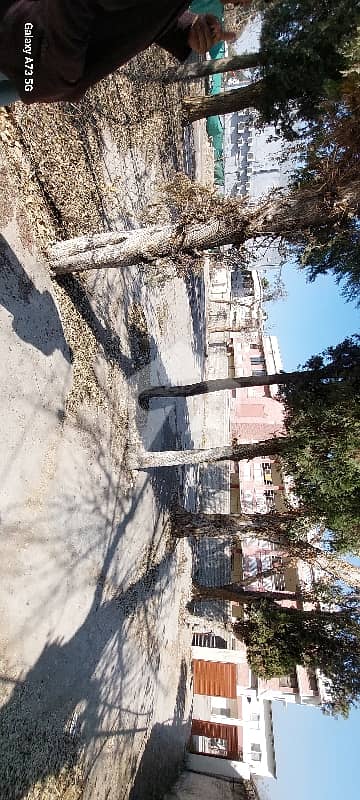 Old house for sale on Mall Road Officers Colony