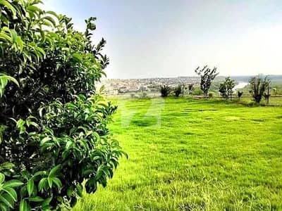 بحریہ ٹاؤن فیز 8 ۔ بلاک ایچ بحریہ ٹاؤن فیز 8,بحریہ ٹاؤن راولپنڈی,راولپنڈی میں 5 کمروں کا 18 مرلہ مکان 3.9 کروڑ میں برائے فروخت۔
