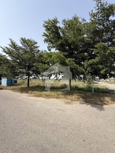 Corner Plot For Sale