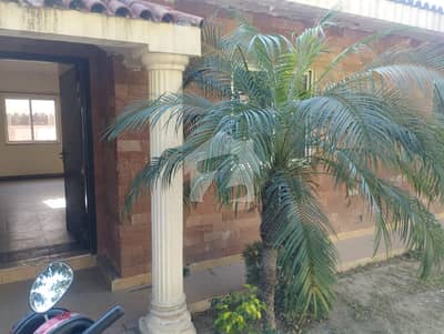 6 Marla Prime location Cottage