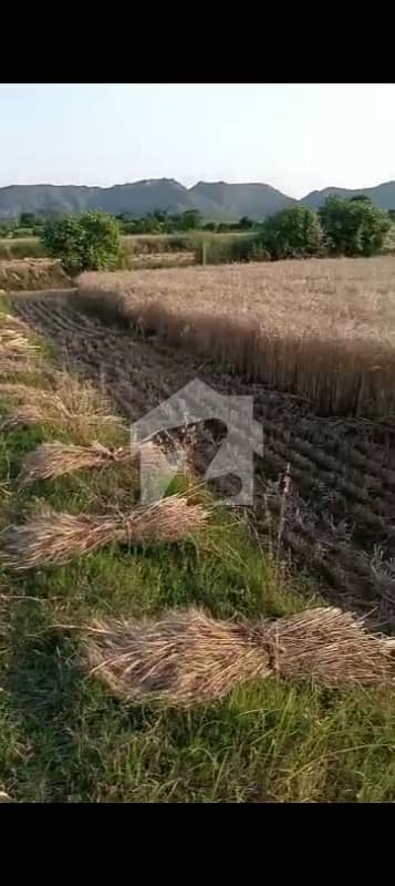 700 kanal land available for sale at burhan hasanabdal