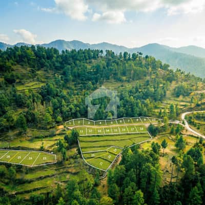 5 MARLA LUXURY RESORT PLOT - PATRIATA MURREE - HOLIDAY COUNTRY CLUB