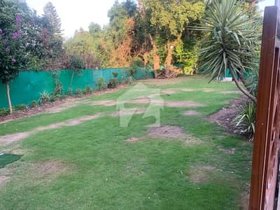 Prime Location Plot Available For Sale