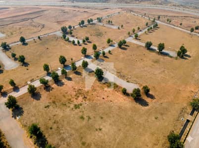 8 Marla Rose Plot For Sale A Perfect Place To Build Your Dream Home