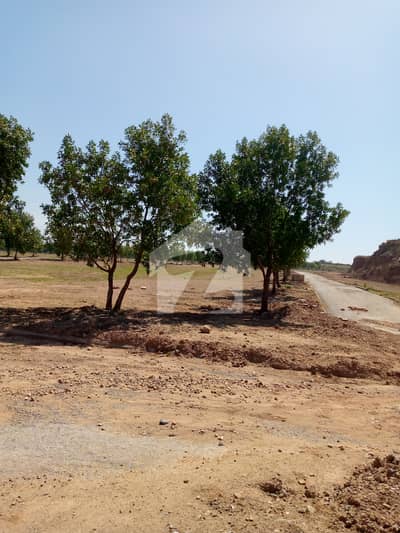 Residential Plot For Sale In DHA Valley Islamabad
