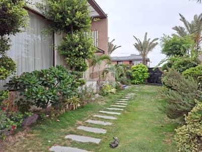 BRAND NEW FULLY FURNISHED BUNGALOW FOR RENT