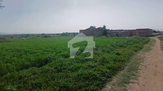 88 kanal agriculture land for sale chakwal