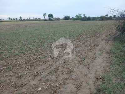 30 kanal agriculture and faram house land   for sale interchange balksar chakwal