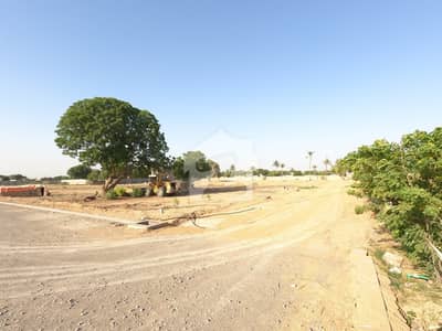 Prime Location 500 yards Residential Plot Is Available In OUD Residency For Sale.