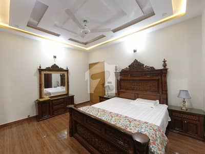 Lower Portion Of 3200 Square Feet Available In D-12