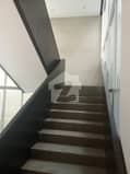 6 6