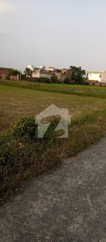 Agriculture Land Is Available For Sale