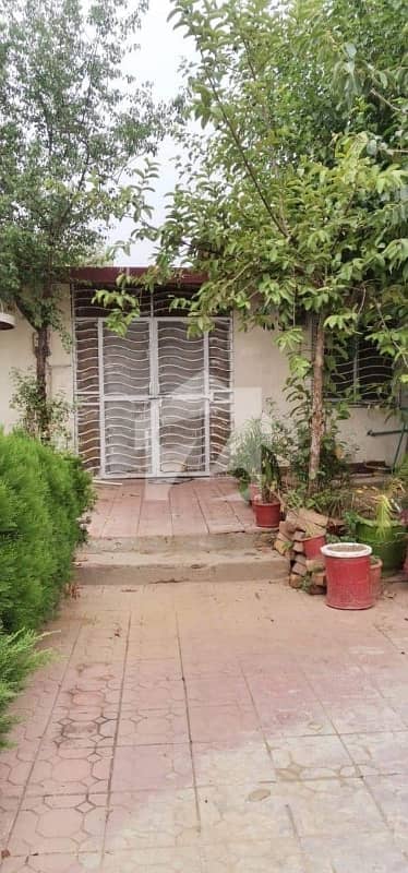 Awami Villa 1 Single Storey Fiber House With Gas Available For Rent At Bahria Town Phase 8 Rawalpindi Islamabad Awami Villa 1 Single Storey Fiber House With Gas Available For Rent At Bahria Town Phase 8 Rawalpindi Islamabad
