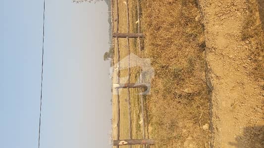 Solid Land
