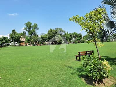 Plot For Sale