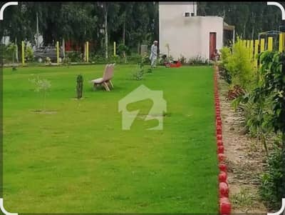 2000 Square Feet Residential Plot In Stunning Wapda Town Is Available For sale