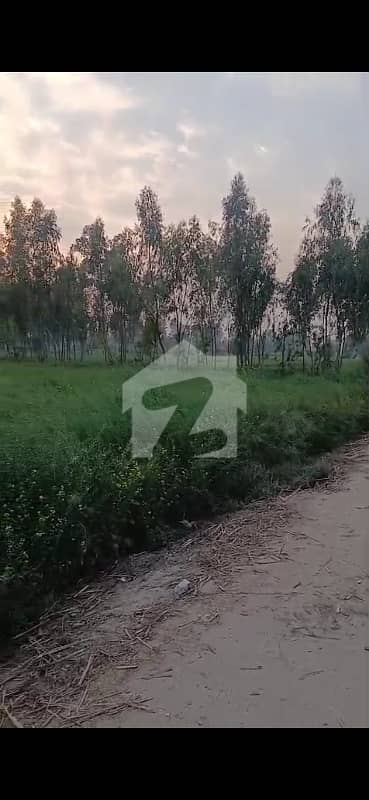 2 2