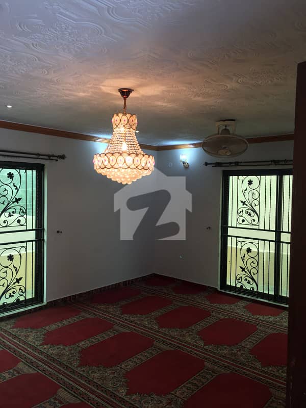 20 