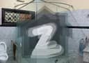 2 2
