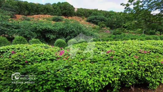 Nayanazimabad Block M Plot For Sale