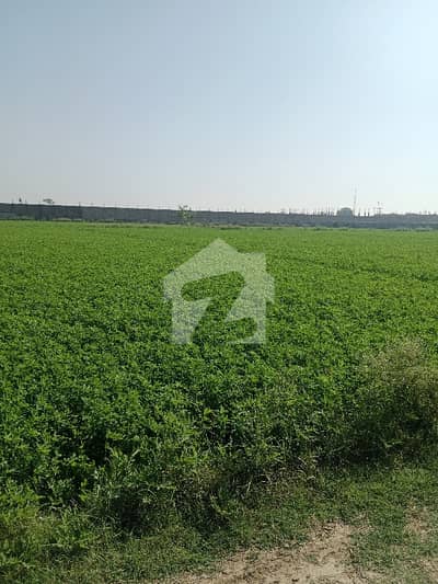 Canal Bank Road Plot For Sale 130 Kanal Manga