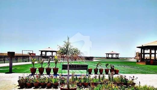Commercial Plot In Gwadar