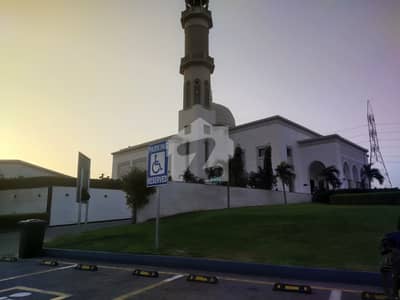 West Open Near Garden 272 Yards Plot For Sale On Aashiq Masjid