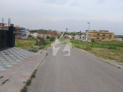 Level Near Mosque And Back Of Double Road