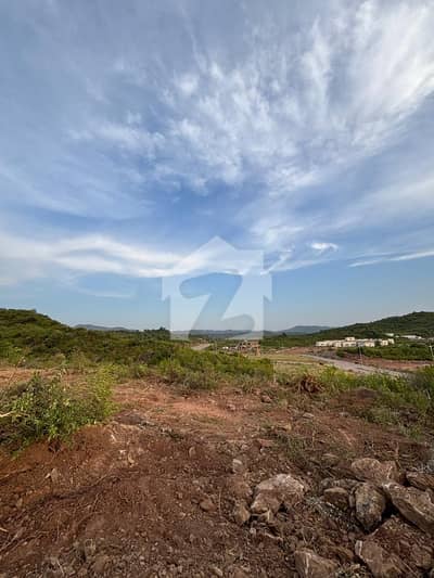 |PN FARMS| |SECTOR D| |5 KANAL|