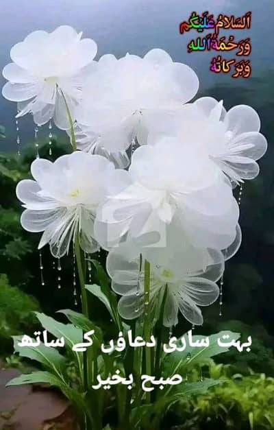 بحریہ ٹاؤن - اوورسیزبی بحریہ ٹاؤن اوورسیز انکلیو,بحریہ ٹاؤن,لاہور میں 10 مرلہ رہائشی پلاٹ 1.55 کروڑ میں برائے فروخت۔