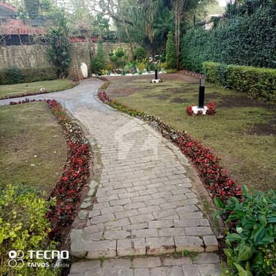 3 Bedroom Furnished House Available In F6/3 For Rent