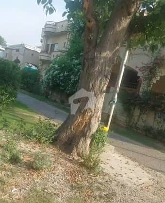 Plot Is Available F11/2 Size 666 Beautiful Location Hot Cake Direct Meting Owner