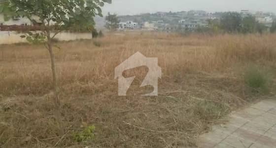 Premium Plot Sector C Solid Land