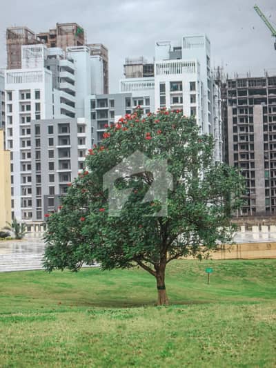 120 Sq Yd Plot Available In Block M Naya Nazimabad 120 Sq Yd Plot Available In Block M Naya Nazimabad