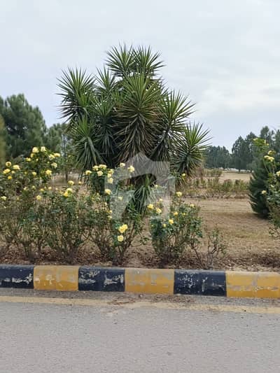 Park Facing Plot For Sale