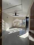 20 20