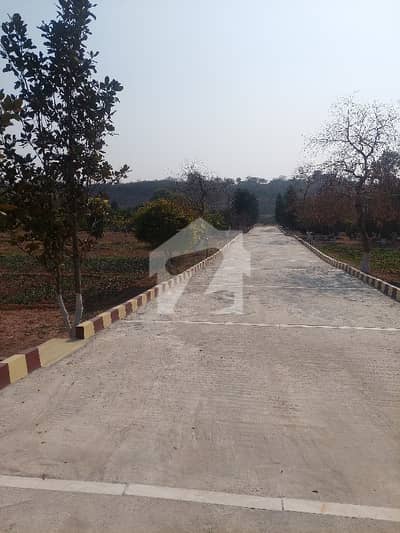 Farmhouse plot available for sale