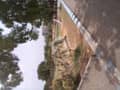 31 31