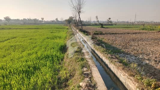 1 Acre Agricultral / Commercial Land For Sale On Burj Road Gandha Singh Kasur,