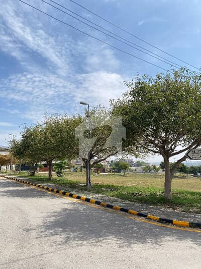 Luxury Prime Plot For Sale In Sector B, DHA 3 (Street 78)