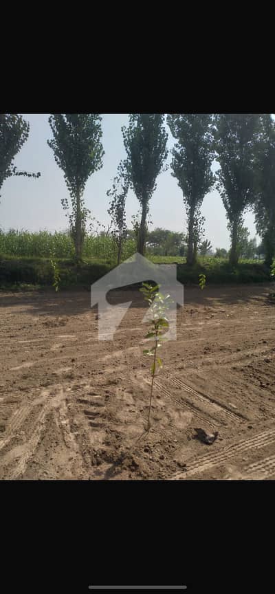 160 Kanal Agricultural Land For Sale 3 Side Open 5000 Feet Front In Roads