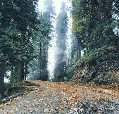 5 Marla Plot On Prime Location Masyari Murree Booking Start 30%