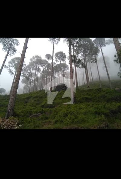 6 Marla Possessional Plot Available On Main Expressway Murree