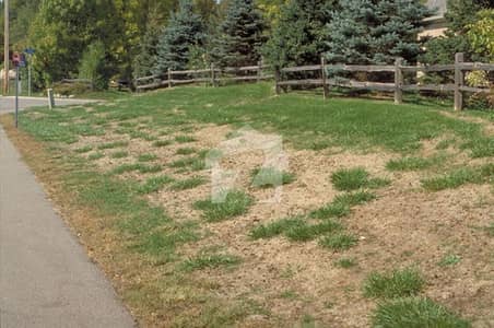 Beautiful Location Prime Plot Is For SALE